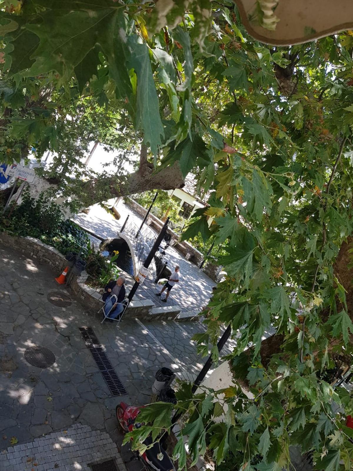 Amaya Pine Studio Panagia  Exterior photo