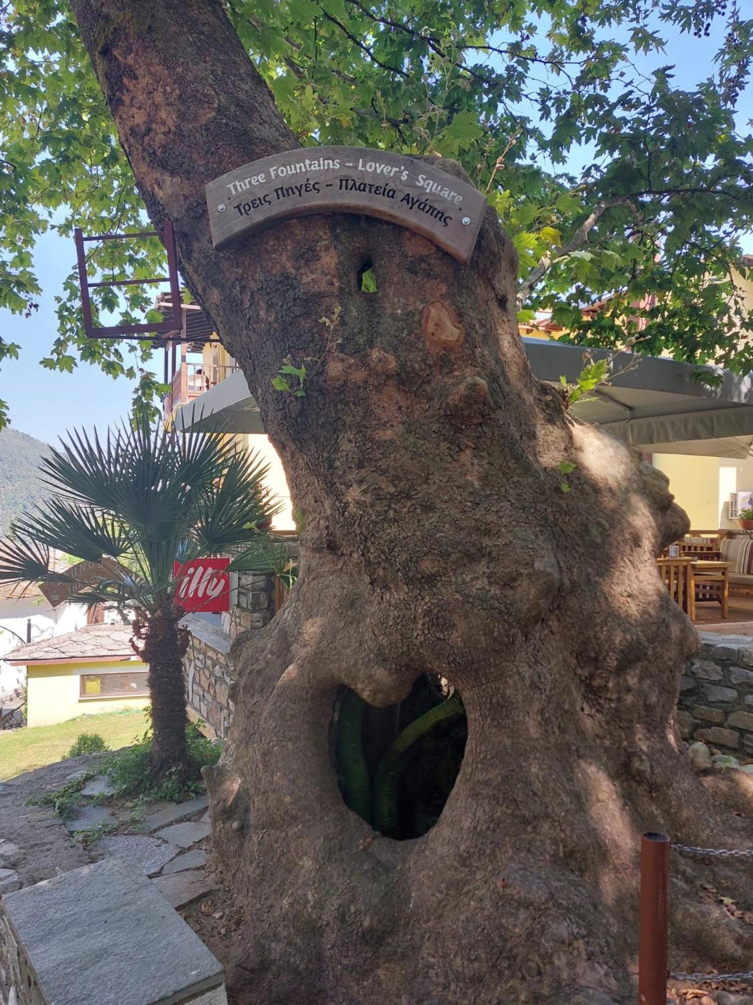 Amaya Pine Studio Panagia  Exterior photo